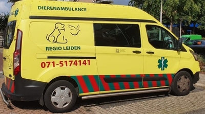 1761153688309 1761153688309